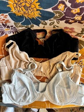 Anne Klein Black, Beige & Light Blue Lace Unlined Full Figure T-Shirt Bras